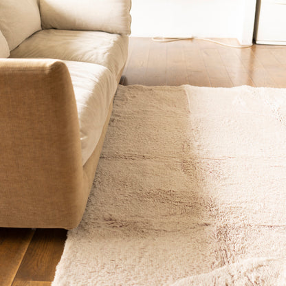 SECTION COLOR RUG 200×200