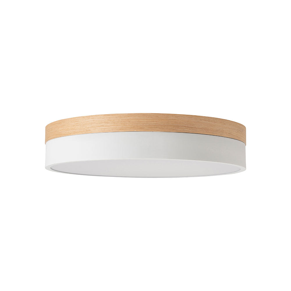 Olika LED CEILING LIGHT Ver.2 – BRID