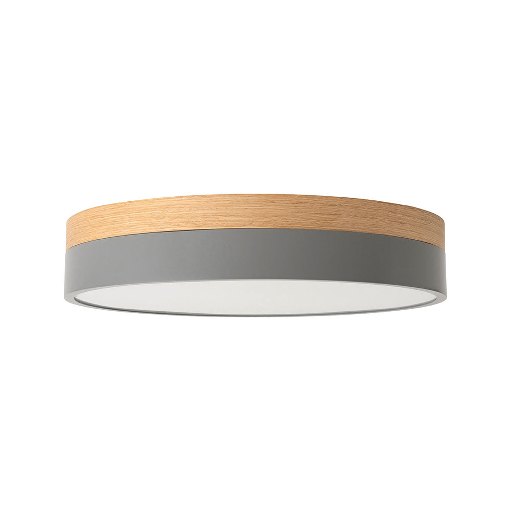 Olika LED CEILING LIGHT Ver.2 – BRID