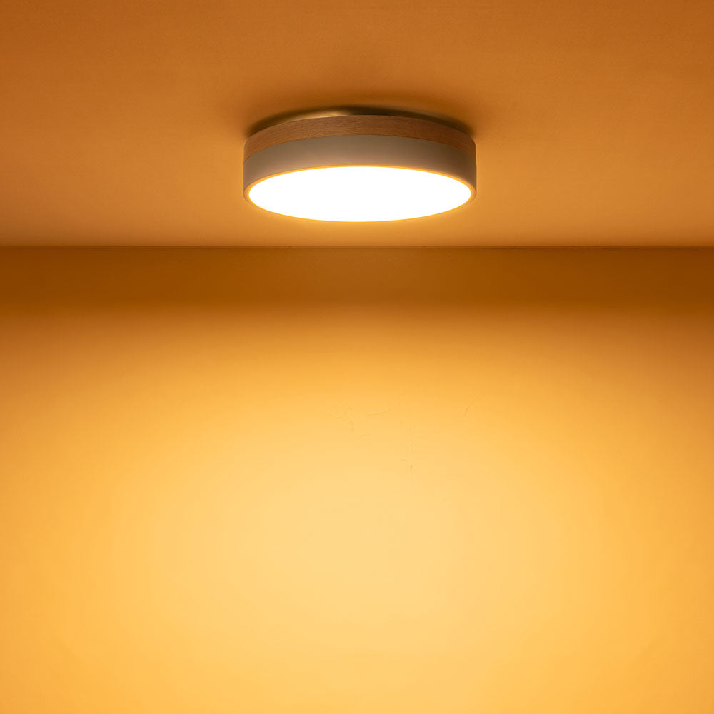 Olika LED CEILING LIGHT Ver.2 – BRID