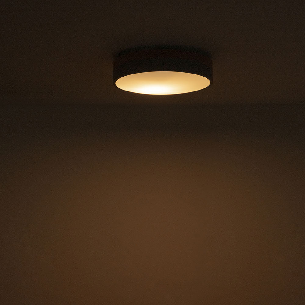Olika LED CEILING LIGHT Ver.2 – BRID