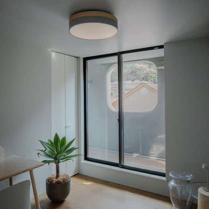 Olika LED CEILING LIGHT Ver.2