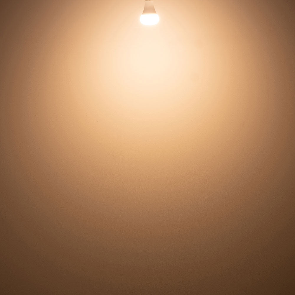 PLANTS LIGHT40 WARM