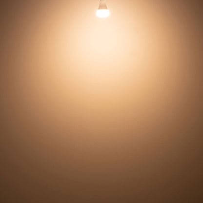 PLANTS LIGHT40 WARM