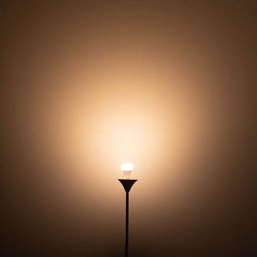 PLANTS LIGHT 60W WARM