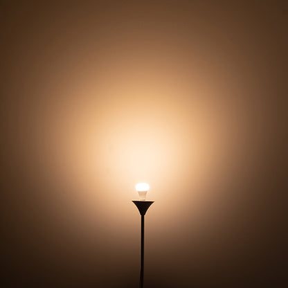 PLANTS LIGHT 60W WARM