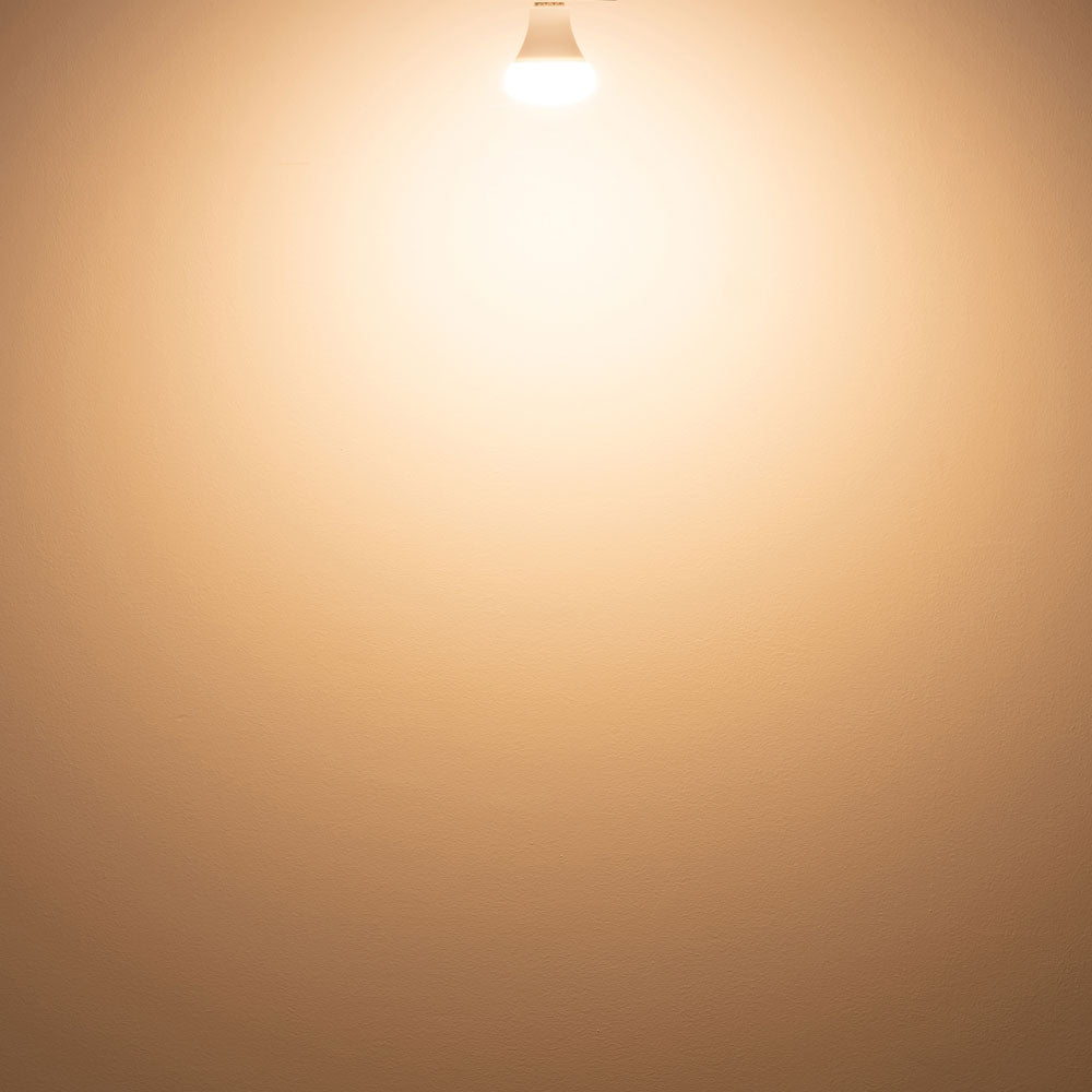 PLANTS LIGHT 60W WARM