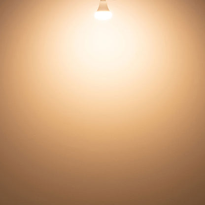 PLANTS LIGHT 60W WARM