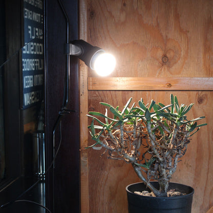 PLANTS LIGHT60 COOL