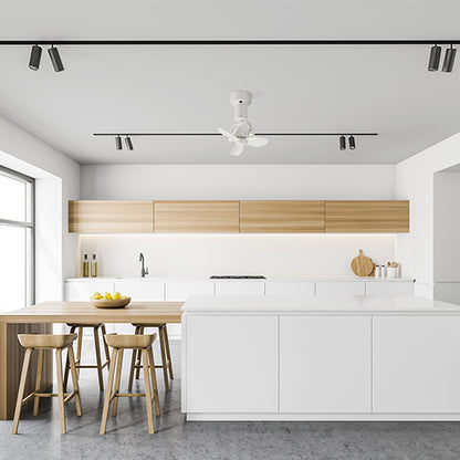 3D CEILING FAN