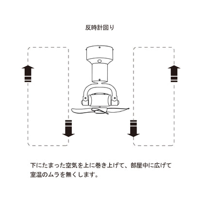 3D CEILING FAN